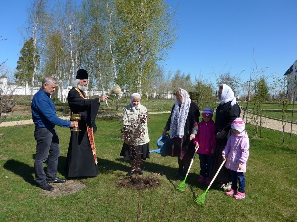 Погода мансурово советского